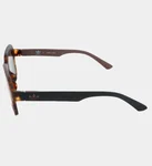 Adidas Sunglasses Unisex Havana Brown