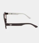 Adidas Sunglasses Unisex Dark Brown